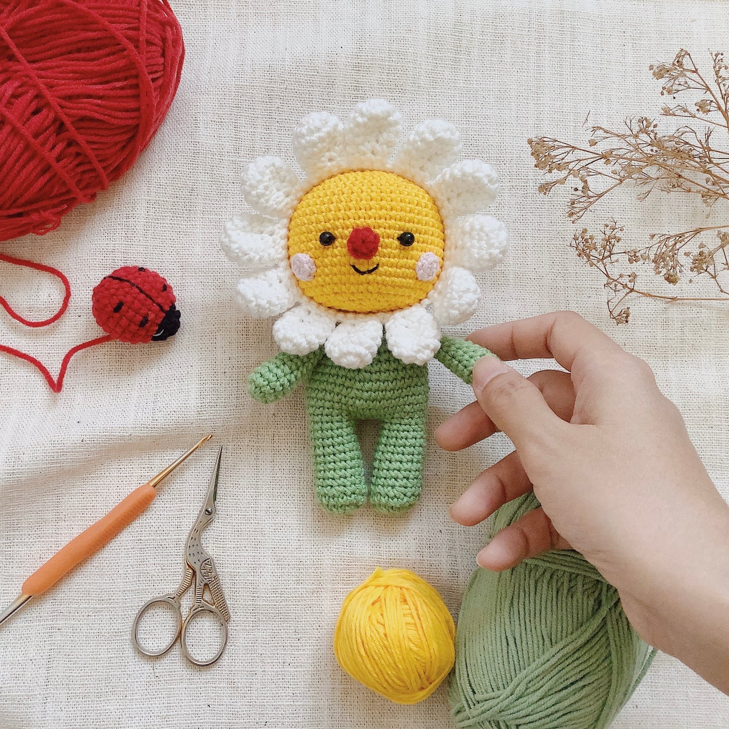 Pattern The Daisy and The Ladybugs