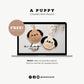 Easy Animals Mini Pouch Keychain Crochet Pattern PDF