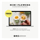 Mini Daisy & Sunflower Crochet Pattern PDF