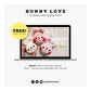 Bunny Love Crochet Pattern PDF